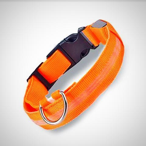 ﻿Dog Collars - Orange - L - Happee Shoppee