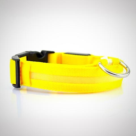 ﻿Dog Collars - Yellow - L - Happee Shoppee